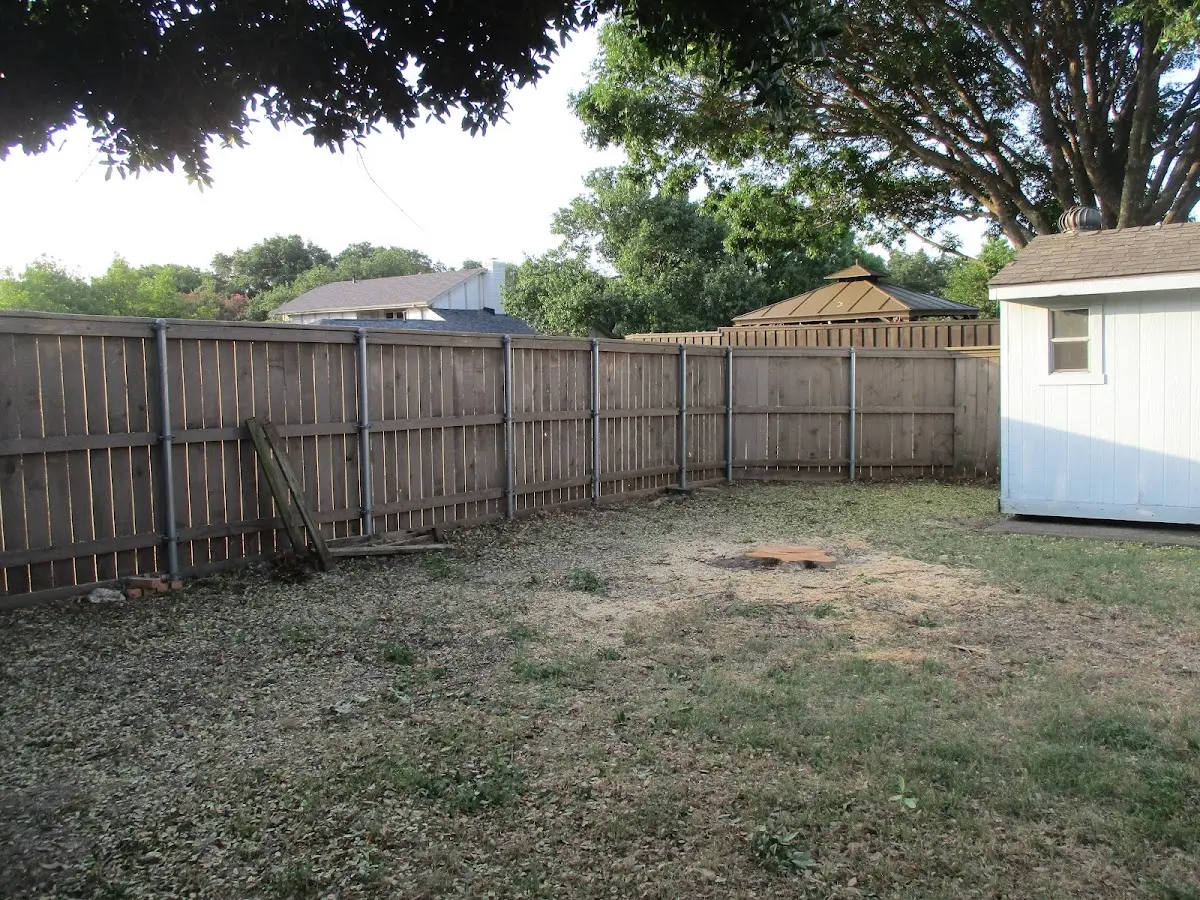 Cleared yard after professional tree removal in Wilsons Mills